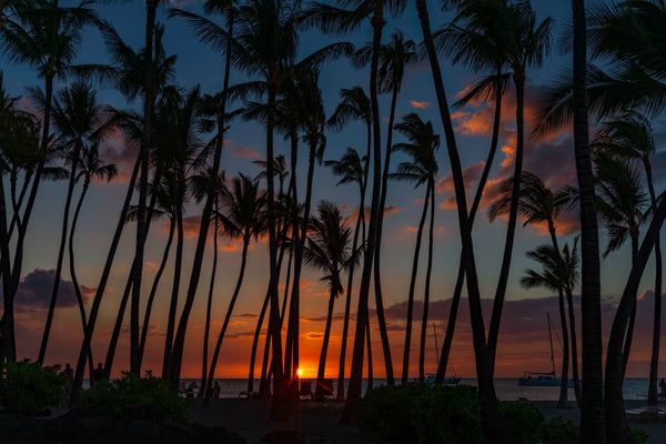 A Bay Sunset