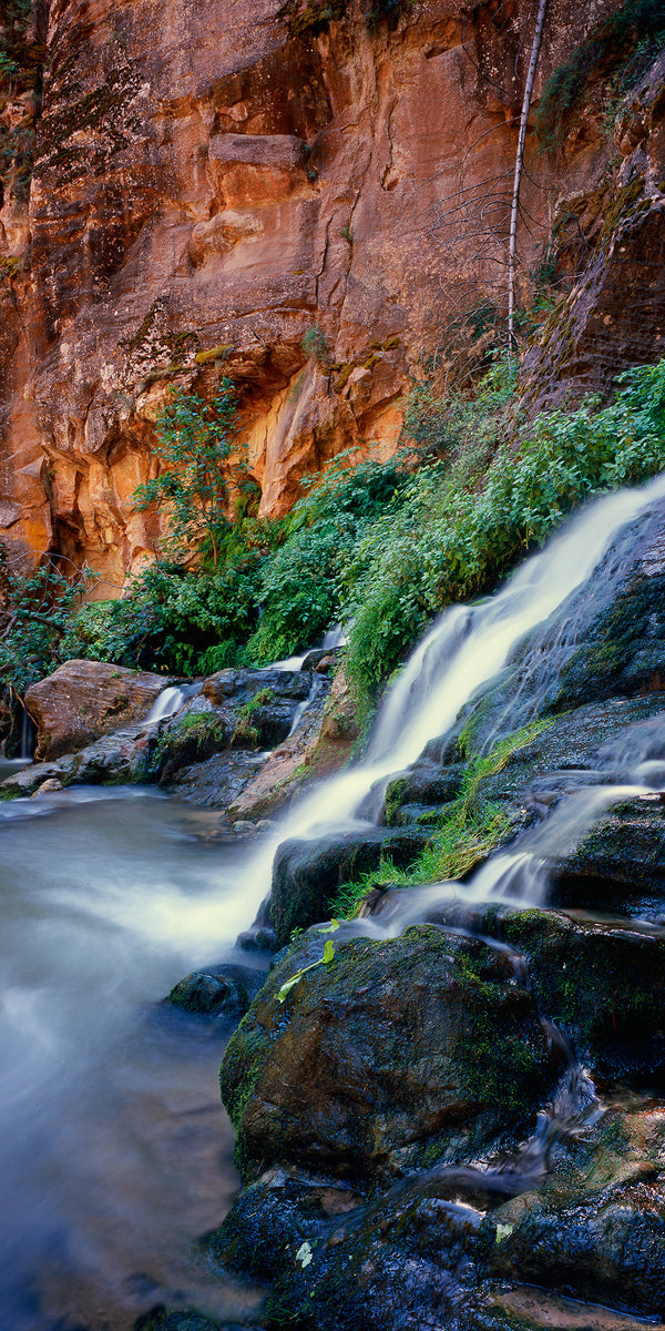 Rushing Waters of Zion