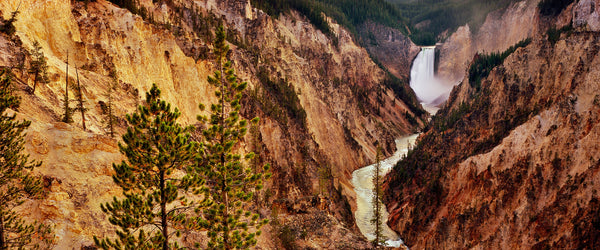 Yellowstone Falls